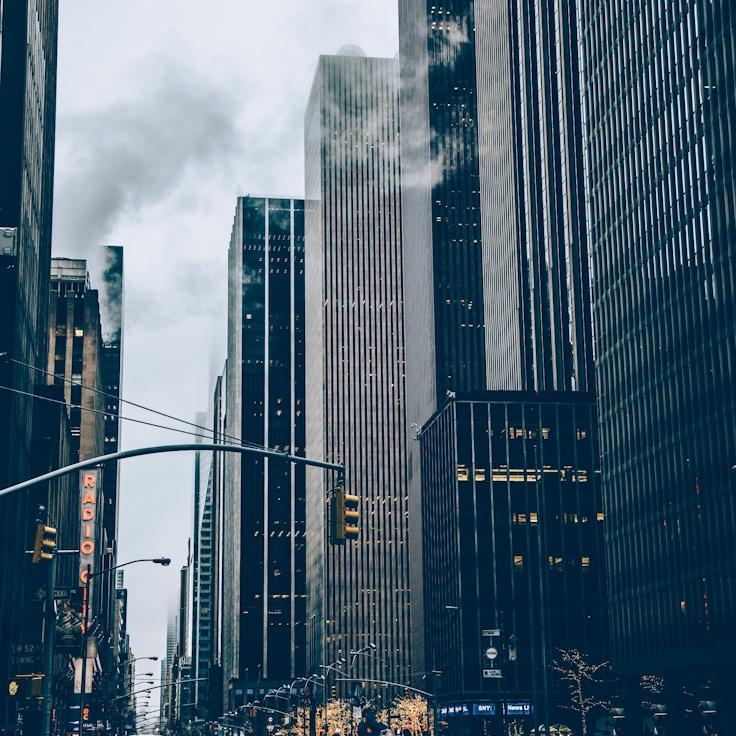 Emma van den Berg - Expat family life guide in Netherlands